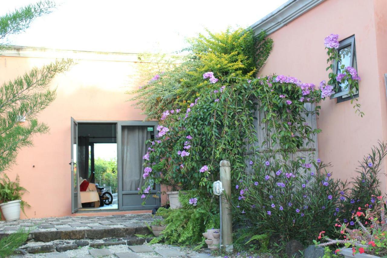Gite Des Acacias Union Vale 외부 사진